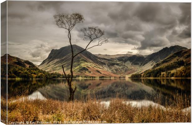 The Lone Tree at Buttermere Canvas Print by Ray Pritchard
