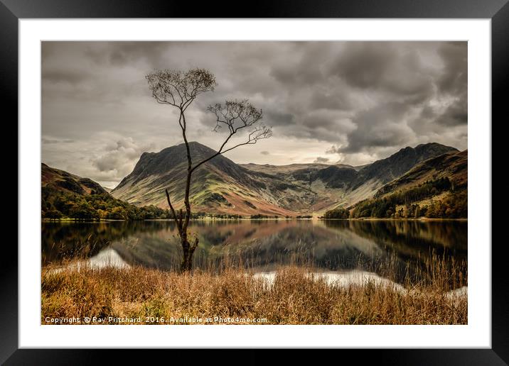 The Lone Tree at Buttermere Framed Mounted Print by Ray Pritchard