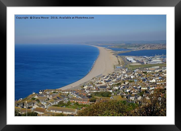 Chesil Beach Dorset  Framed Mounted Print by Diana Mower
