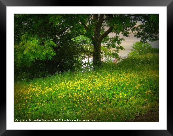 Garden's End. Framed Mounted Print by Heather Goodwin