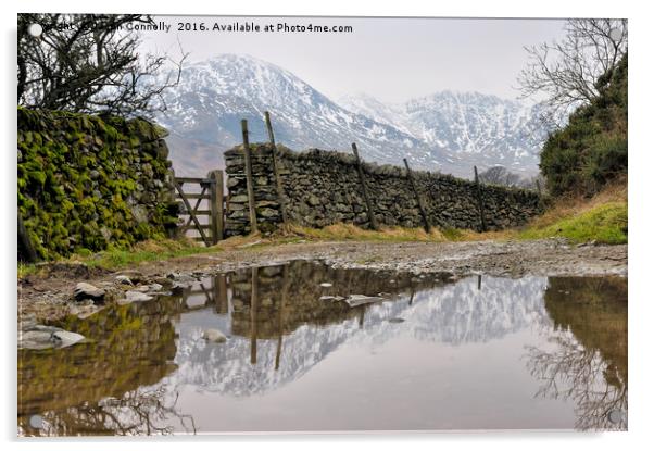 Little Langdale Reflections Acrylic by Jason Connolly