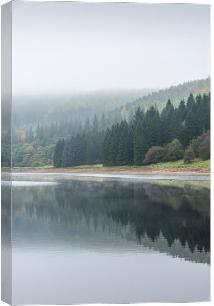 Forest in reflection Canvas Print by Andrew Kearton