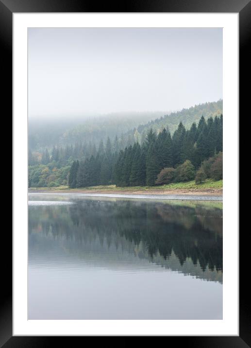 Forest in reflection Framed Mounted Print by Andrew Kearton