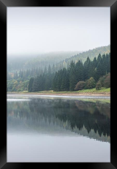 Forest in reflection Framed Print by Andrew Kearton