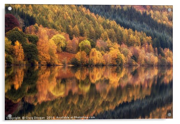 Natures Symmetry Acrylic by Craig Doogan