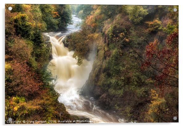 Reekie Linn Gorge & Waterfall  Acrylic by Craig Doogan
