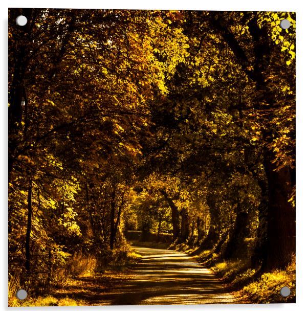 Autumnal Lane, Scottish Borders Acrylic by Gavin Liddle