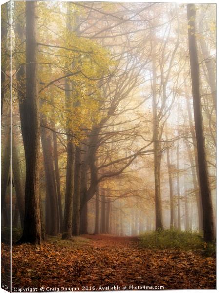 Mysterious Woods Canvas Print by Craig Doogan