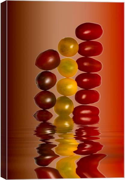 Plum Cherry Tomatoes Canvas Print by David French