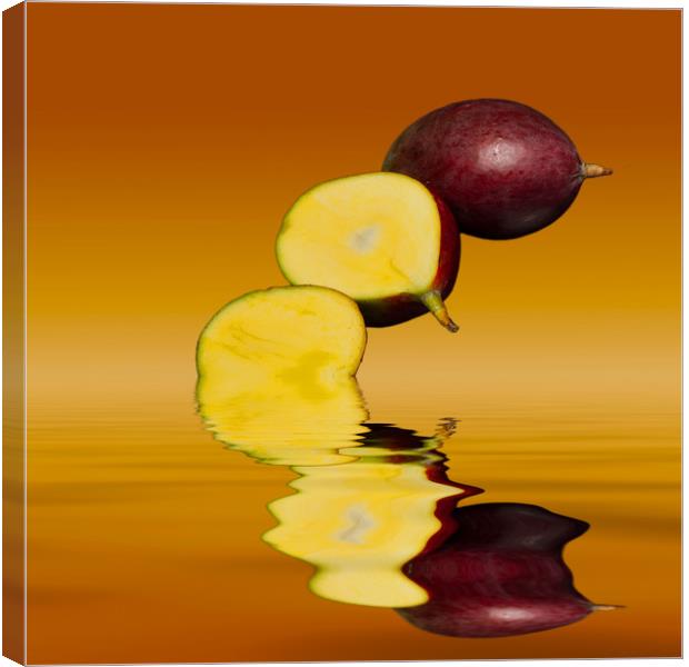 Fresh ripe mango fruits Canvas Print by David French