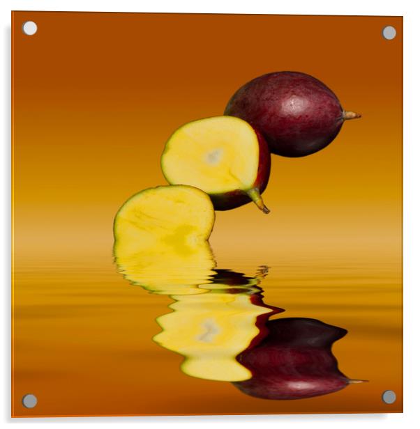 Fresh ripe mango fruits Acrylic by David French