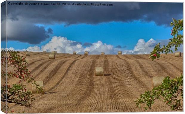 Hay stacks along the Forth & Clyde canal Canvas Print by yvonne & paul carroll
