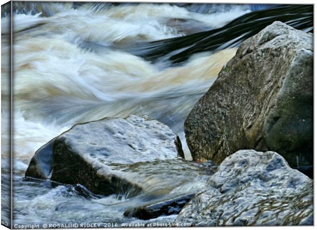 "WATER OVER ROCKS 2 " Canvas Print by ROS RIDLEY