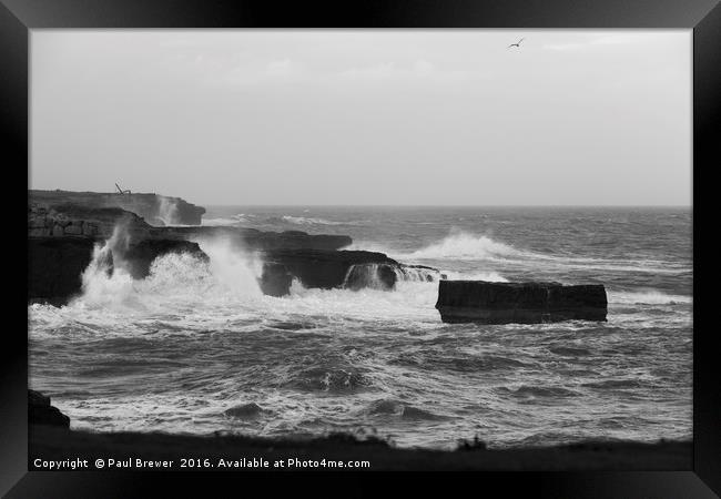 Red Crane in a Storm Framed Print by Paul Brewer