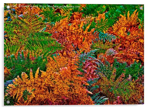 Ferns in Autumn Colours Acrylic by Martyn Arnold