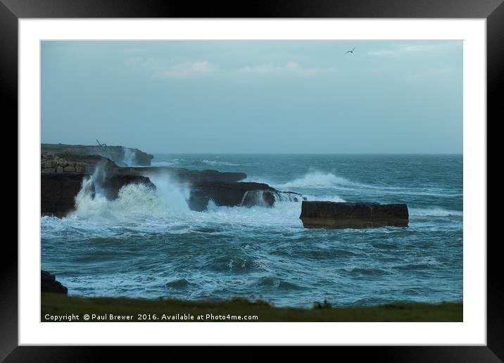 Broad Ope Crane in a storm  Framed Mounted Print by Paul Brewer