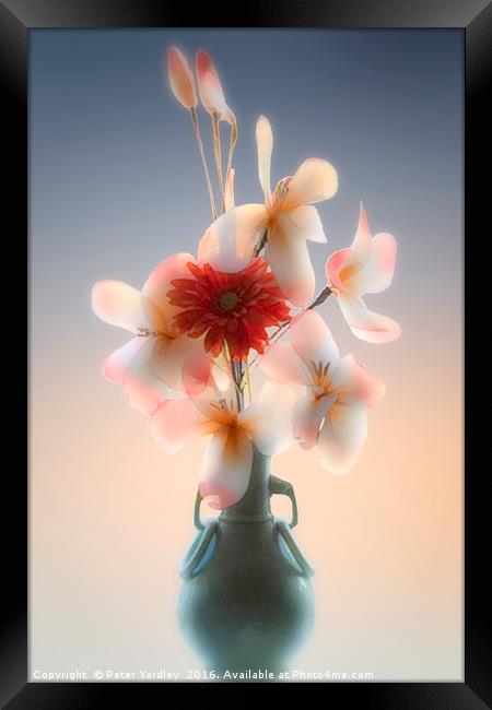 Flowers in Vase #1 Framed Print by Peter Yardley