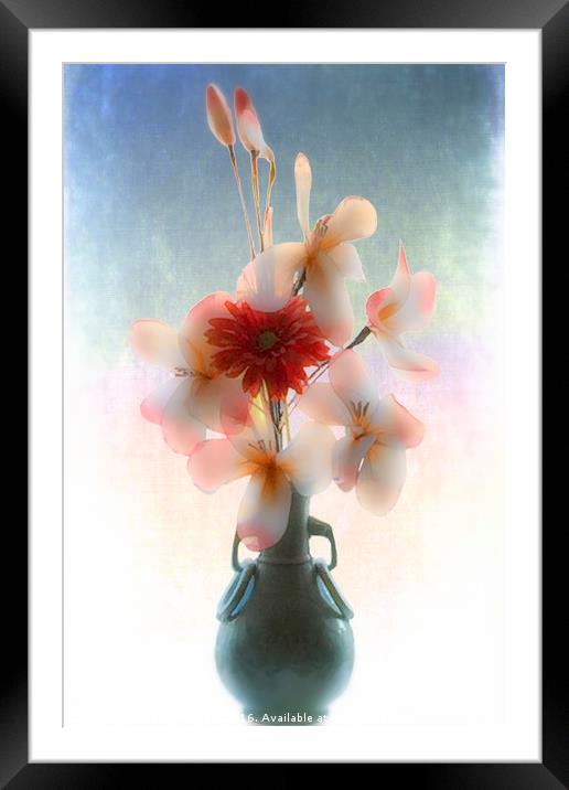 Flowers in Vase #2 Framed Mounted Print by Peter Yardley