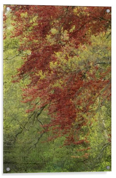 painted red and green trees Acrylic by Heather Newton