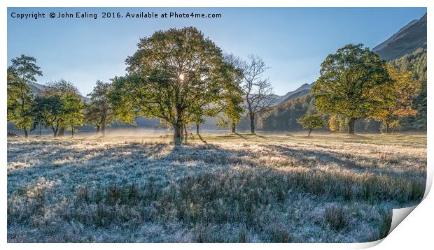 First Frost Print by John Ealing