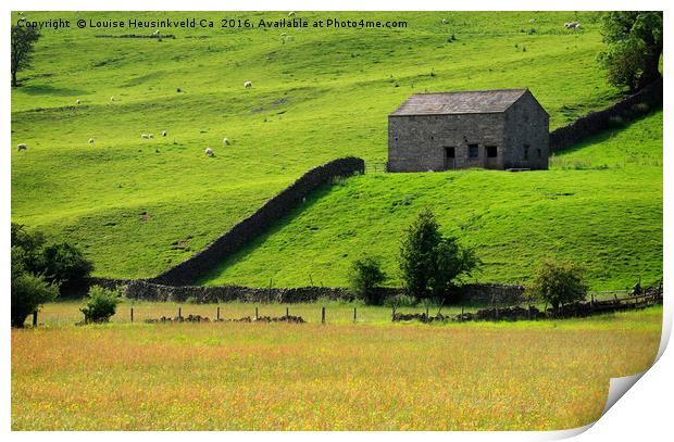 Stone barn and sheep grazing on a steep hillside,  Print by Louise Heusinkveld