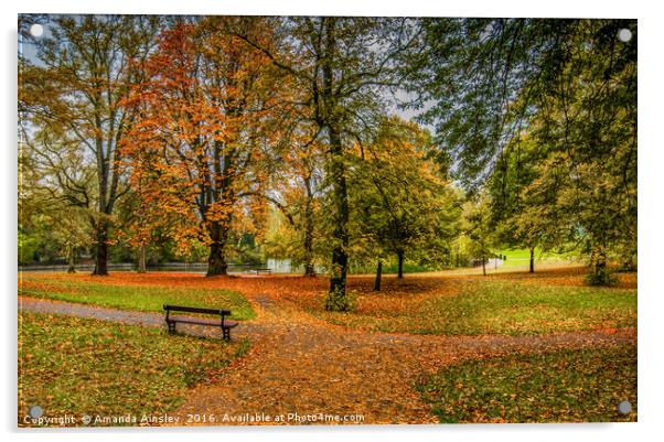 Autumn Woodland Acrylic by AMANDA AINSLEY