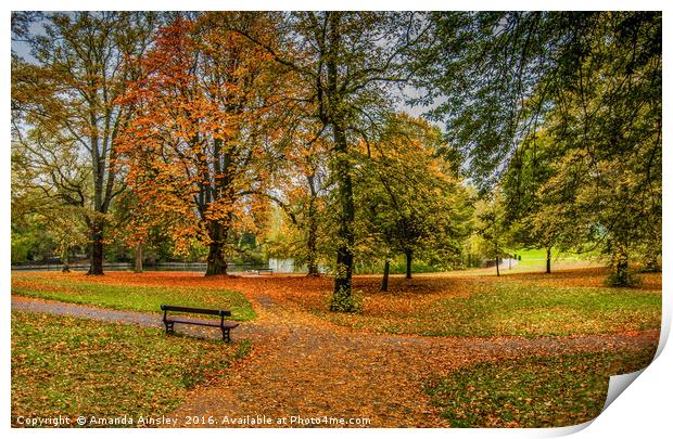 Autumn Woodland Print by AMANDA AINSLEY