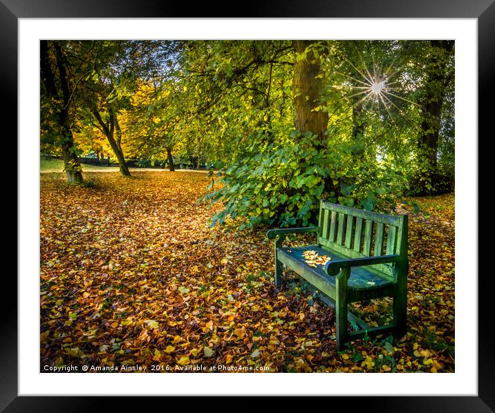 Autumn Resting Place Framed Mounted Print by AMANDA AINSLEY