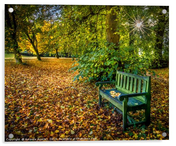 Autumn Resting Place Acrylic by AMANDA AINSLEY