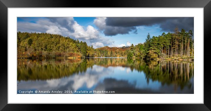 Tarn Hows Reflections Framed Mounted Print by AMANDA AINSLEY