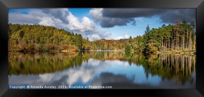 Tarn Hows Reflections Framed Print by AMANDA AINSLEY