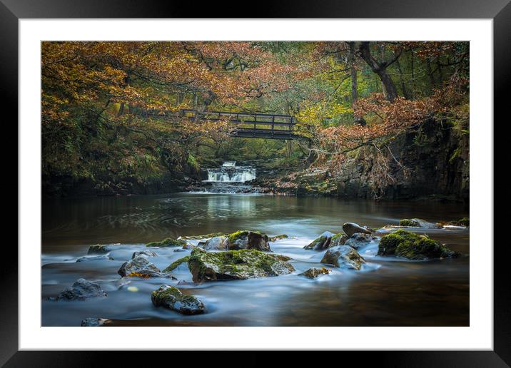 Autumn at the falls Framed Mounted Print by Philip Male