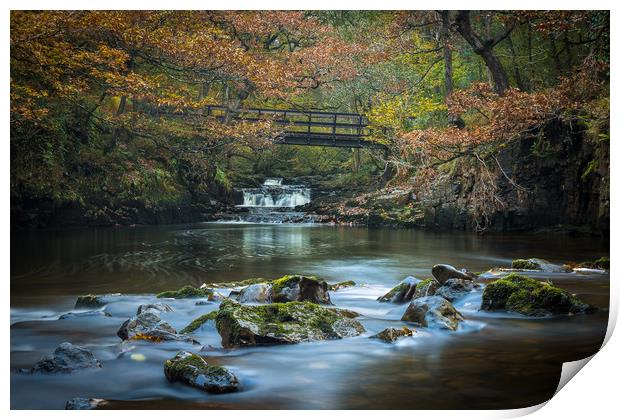 Autumn at the falls Print by Philip Male