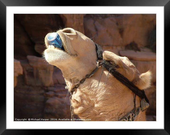 Have a Drink on Me. Camel helps himself to a soft  Framed Mounted Print by Michael Harper
