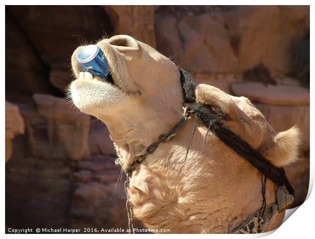 Have a Drink on Me. Camel helps himself to a soft  Print by Michael Harper