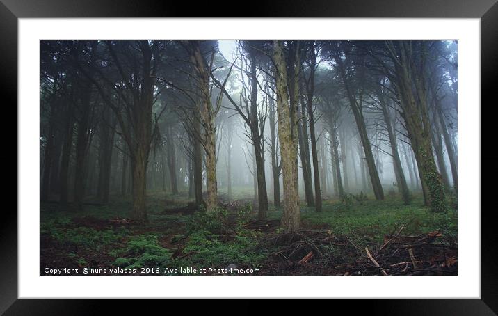 Forest with mist in a Natural Park Framed Mounted Print by nuno valadas