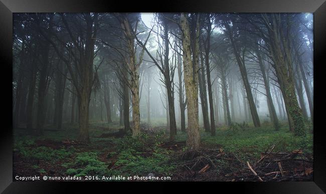 Forest with mist in a Natural Park Framed Print by nuno valadas