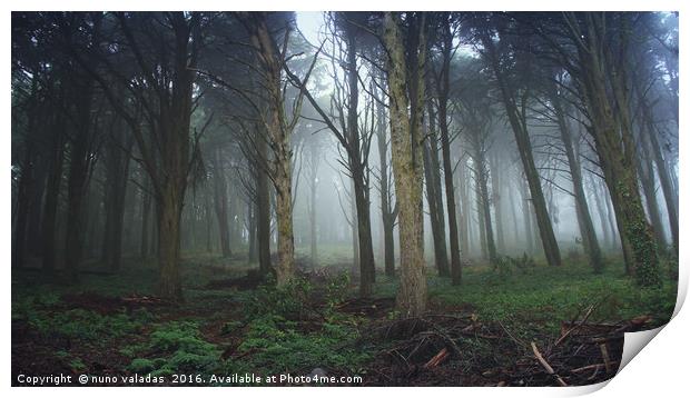 Forest with mist in a Natural Park Print by nuno valadas
