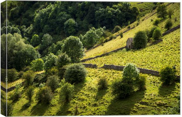 Little barn on the slopes of Dove Dale Canvas Print by Andrew Kearton