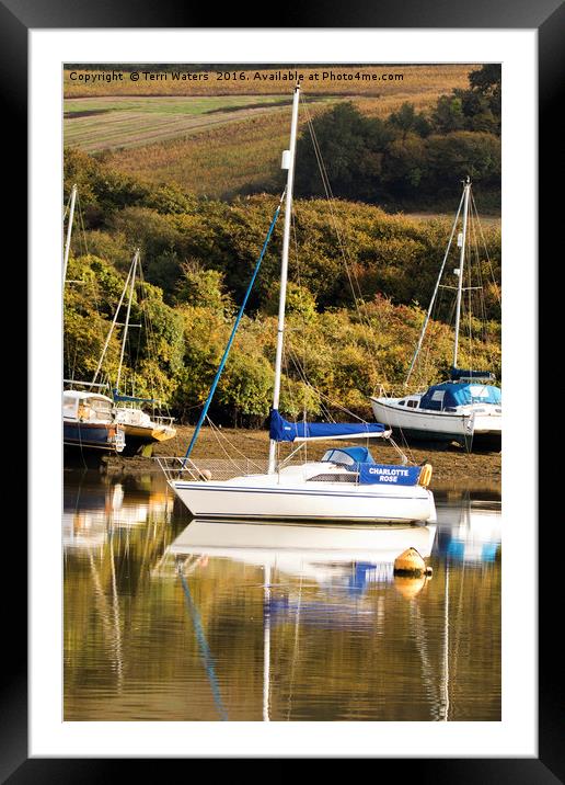 Charlotte Rose Mylor Framed Mounted Print by Terri Waters