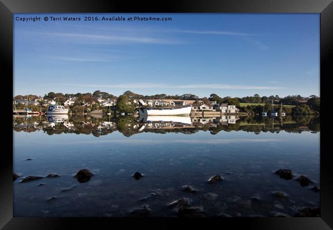 Confusing reflections Framed Print by Terri Waters