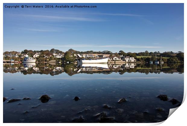 Confusing reflections Print by Terri Waters