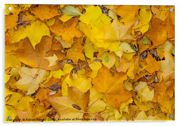 Autumn Leaves Acrylic by Robert Gipson