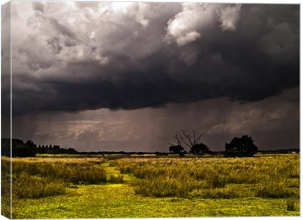 Storm clouds are gathering Canvas Print by Paul Macro