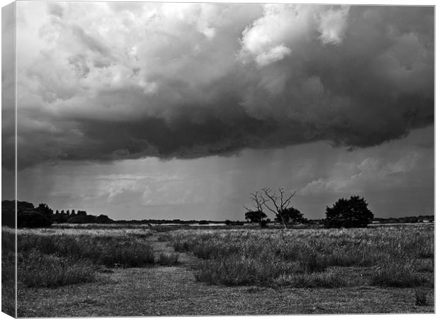 Storm clouds are gathering mono Canvas Print by Paul Macro