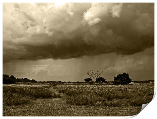 Storm clouds are gathering Sepia Print by Paul Macro
