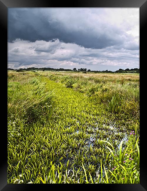 Stormy Marshland Framed Print by Paul Macro