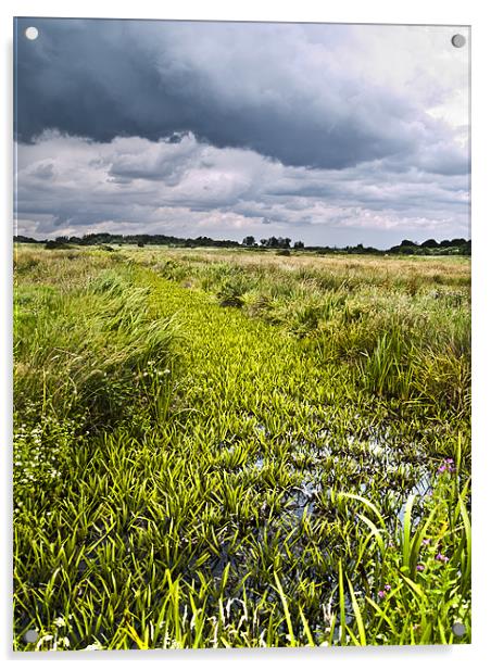 Stormy Marshland Acrylic by Paul Macro