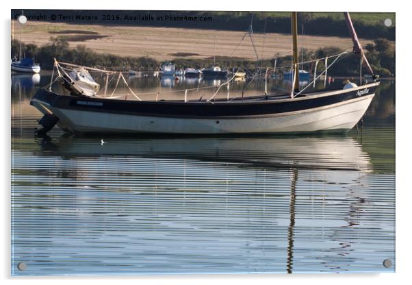 Original Devon Lugger Acrylic by Terri Waters