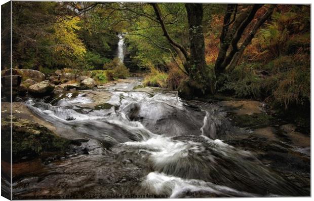 Brecon Beacons Waterfall  Canvas Print by Simon Rees